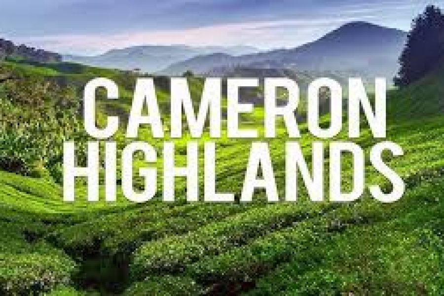 Daytrip Cameron Highland From JB